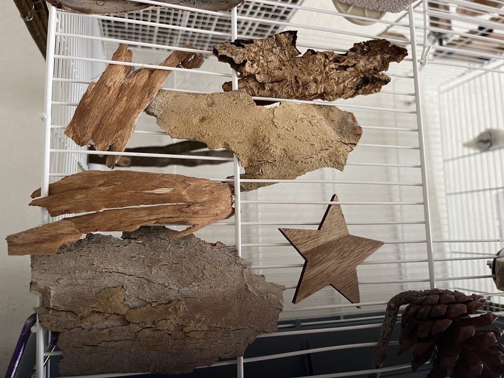 Cortezas de diferentes árboles y texturas como piñas en los barrotes de la jaula.