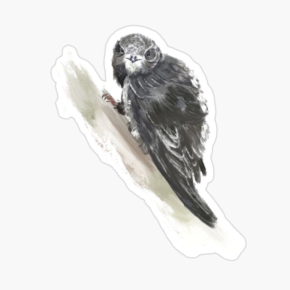 Pegatinas, camisetas y más con motivos de vencejo común de Karoline Leitner.