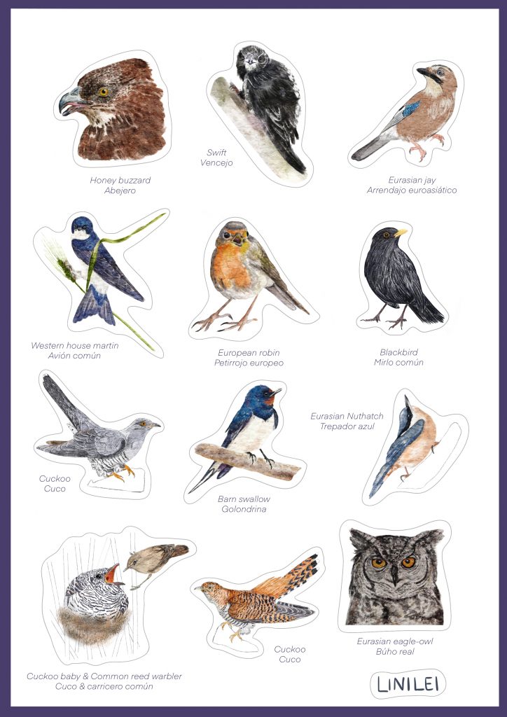 Hoja de pegatinas imprimibles de aves silvestres.