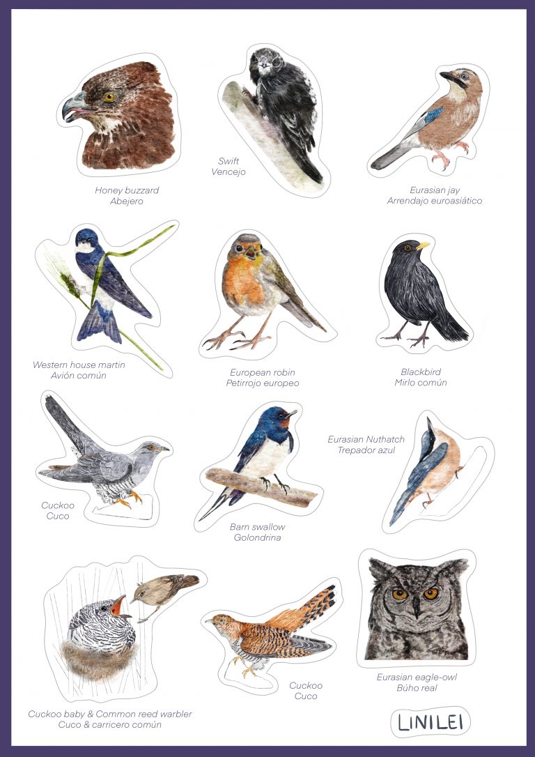 Hoja de pegatinas imprimibles de aves silvestres.